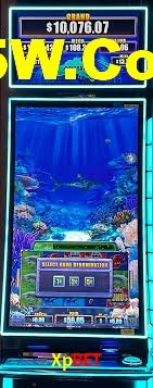 Premium Interface Xpbet